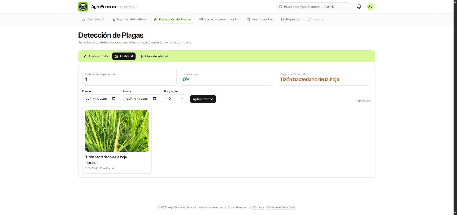 Fotografía la hoja y la IA identifica la plaga del arroz en segundos, con su nivel de confianza, y guarda el diagnóstico en tu historial.